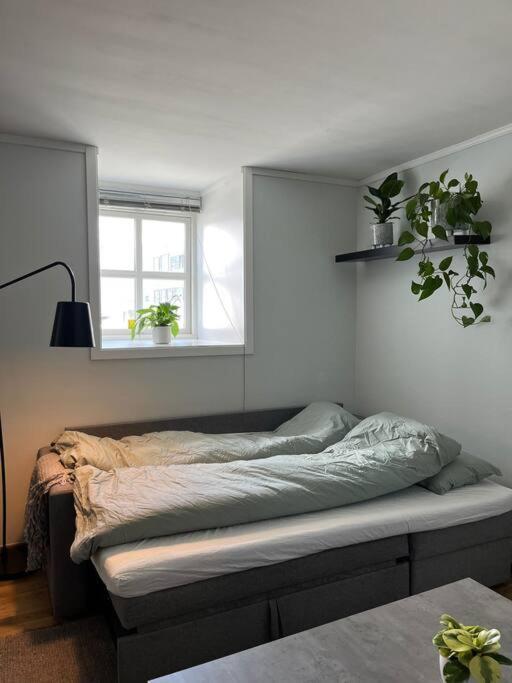 Cozy Ground Floor Apartment Tromsø Zewnętrze zdjęcie