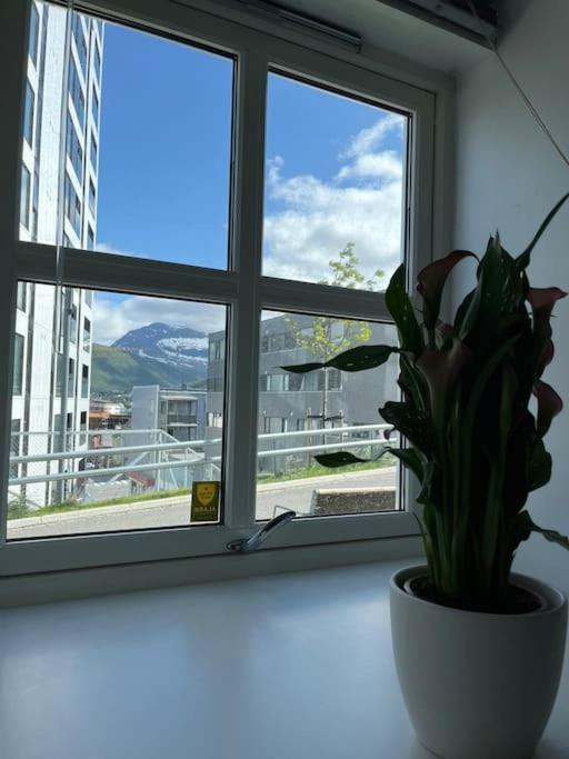 Cozy Ground Floor Apartment Tromsø Zewnętrze zdjęcie