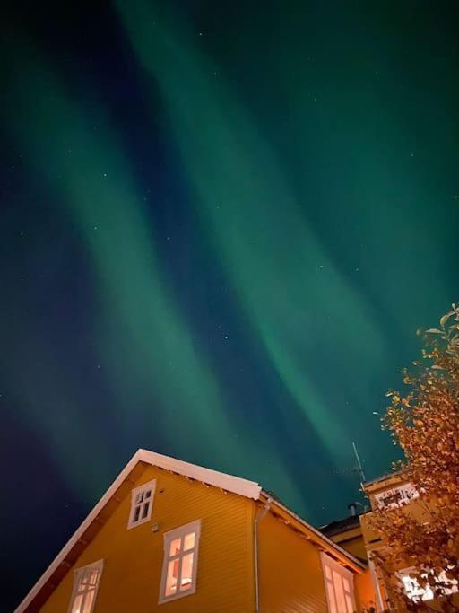 Cozy Ground Floor Apartment Tromsø Zewnętrze zdjęcie