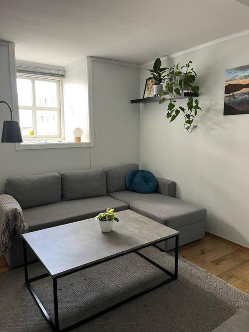 Cozy Ground Floor Apartment Tromsø Zewnętrze zdjęcie