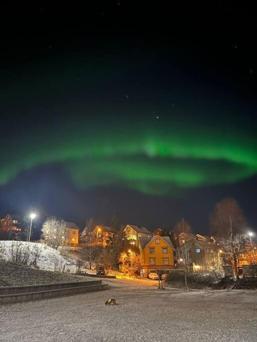 Cozy Ground Floor Apartment Tromsø Zewnętrze zdjęcie