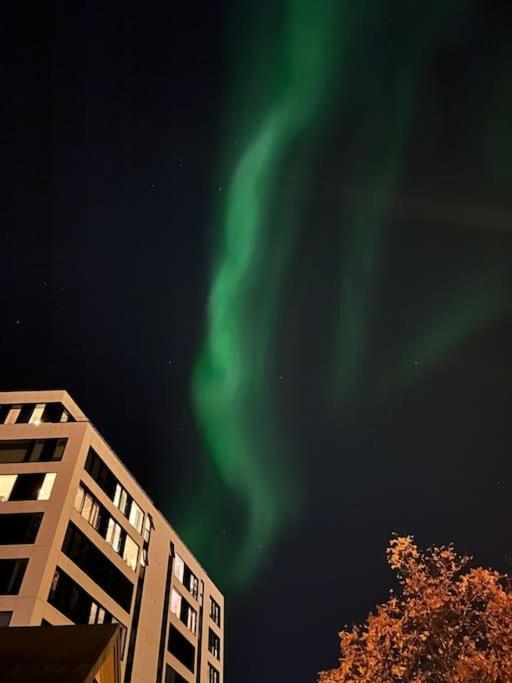 Cozy Ground Floor Apartment Tromsø Zewnętrze zdjęcie